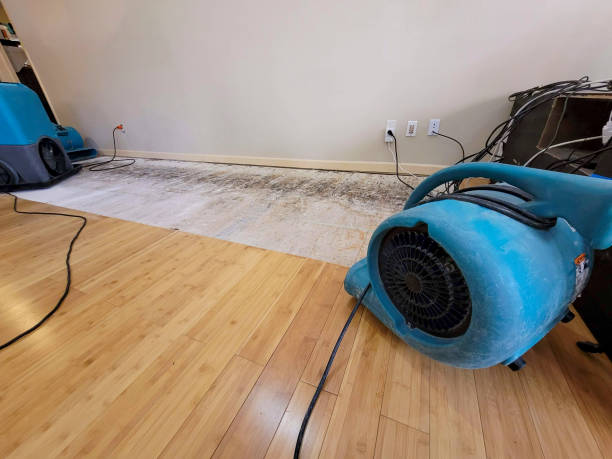 Reliable Basement Flood Cleanup contractor in Brockton, PA by Hirex Water Damage