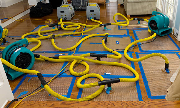 Professional Basement Flood Cleanup technician working in Brockton, PA